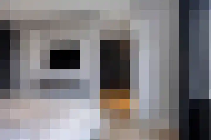Lien Gisolfstraat 35 Tilburg thumbnail 27