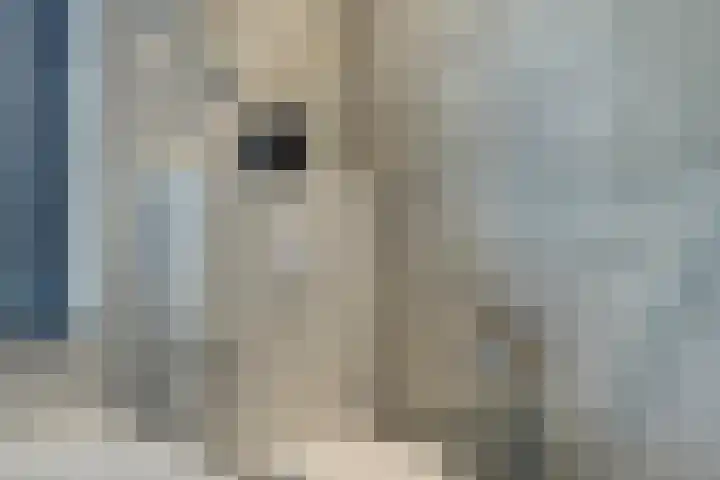 Lien Gisolfstraat 35 Tilburg thumbnail 32