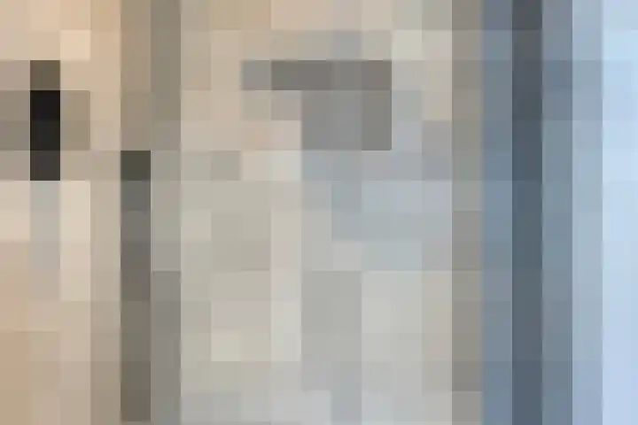 Lien Gisolfstraat 35 Tilburg thumbnail 33