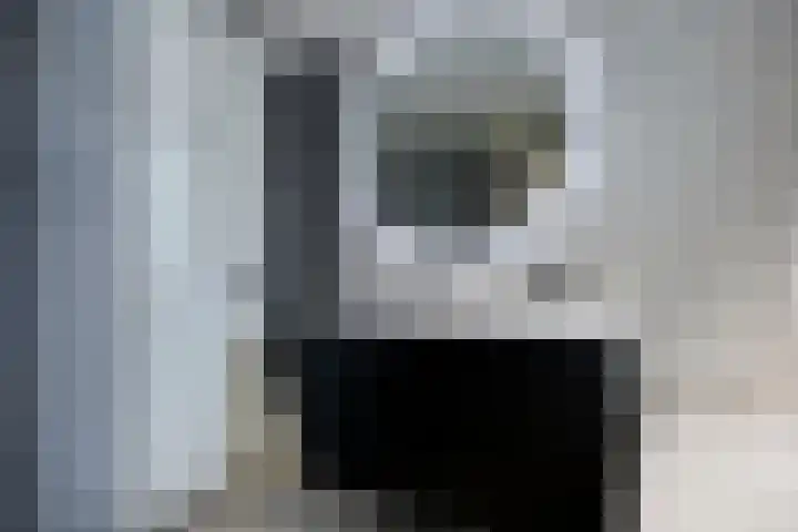 Lien Gisolfstraat 35 Tilburg thumbnail 34