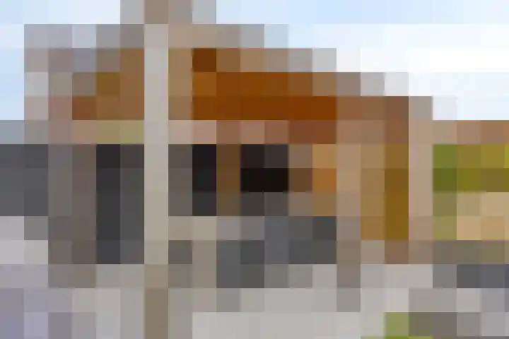 Lien Gisolfstraat 35 Tilburg thumbnail 45