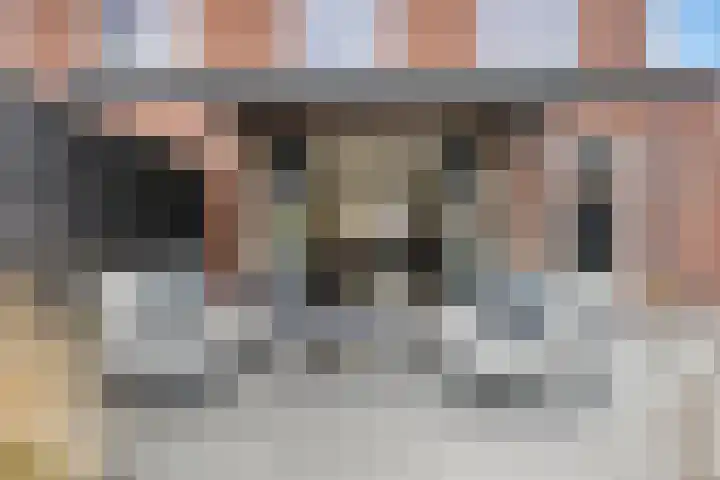 Lien Gisolfstraat 35 Tilburg thumbnail 47