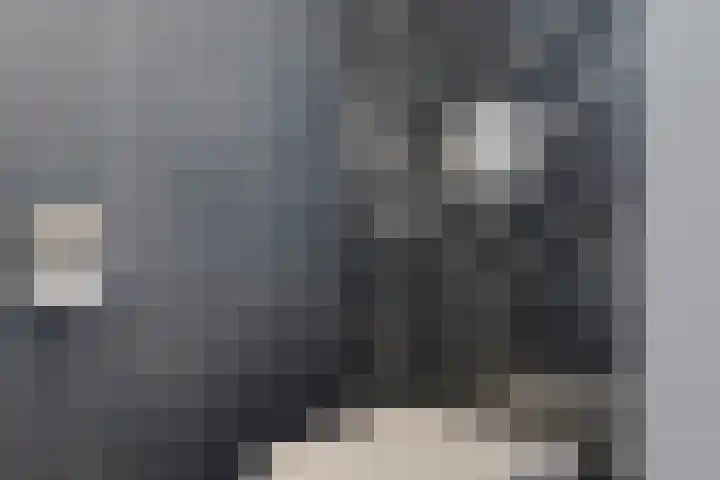 Lien Gisolfstraat 35 Tilburg thumbnail 5