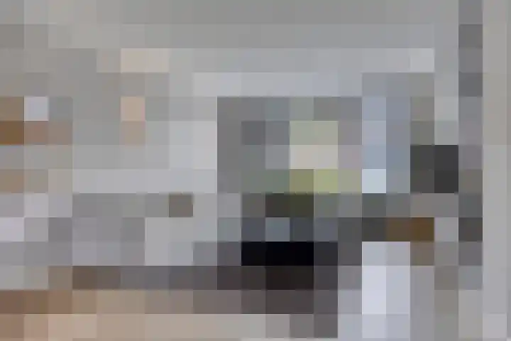 Lien Gisolfstraat 35 Tilburg thumbnail 7