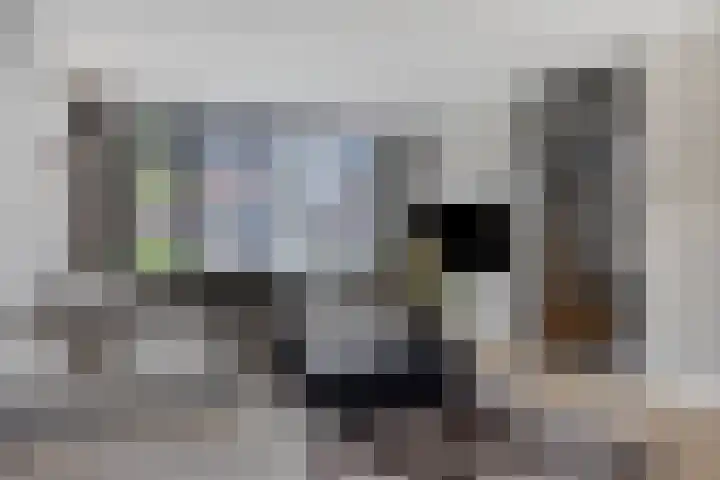 Lien Gisolfstraat 35 Tilburg thumbnail 8