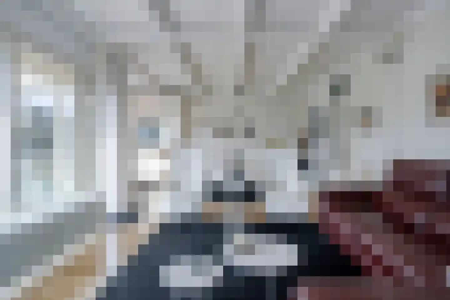 Lienackers 22 Emmen thumbnail 11