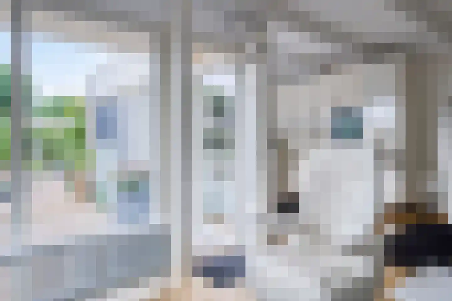 Lienackers 22 Emmen thumbnail 12
