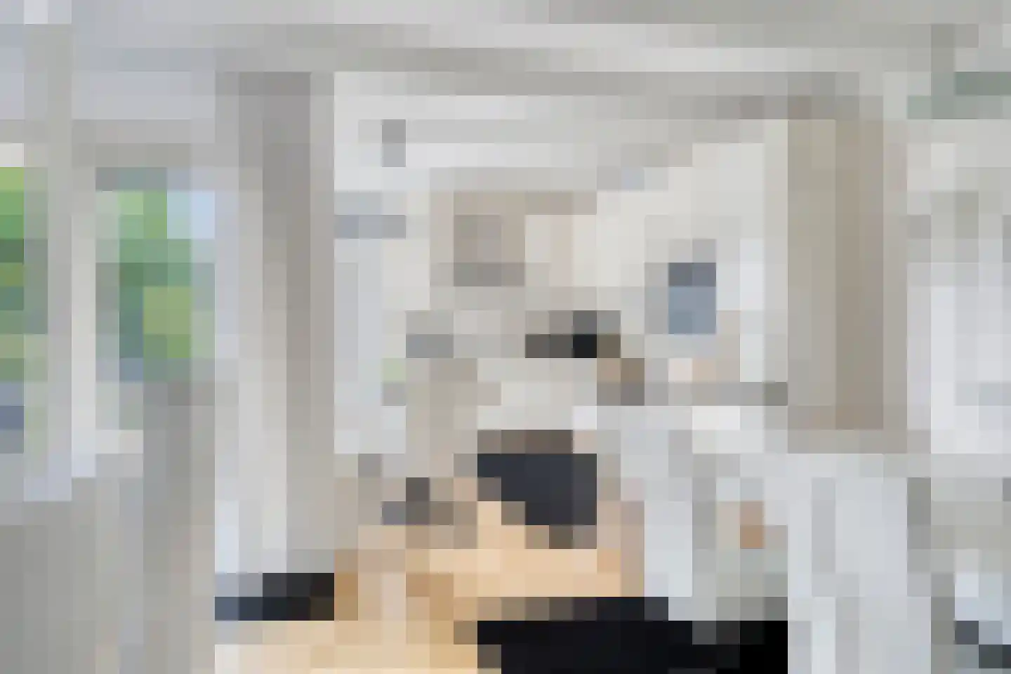 Lienackers 22 Emmen thumbnail 13