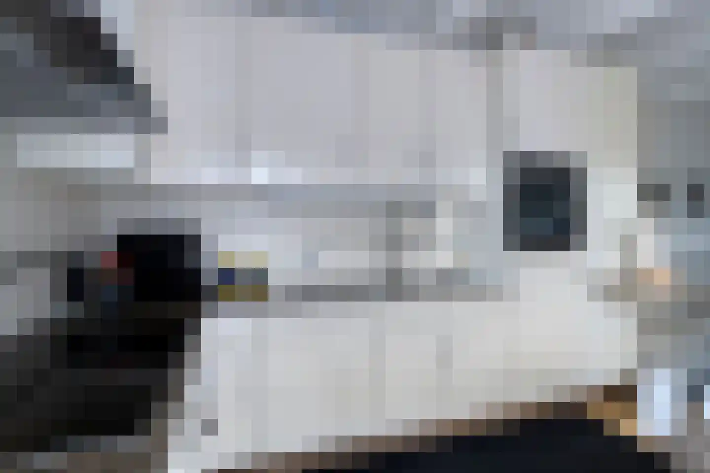 Lienackers 22 Emmen thumbnail 16