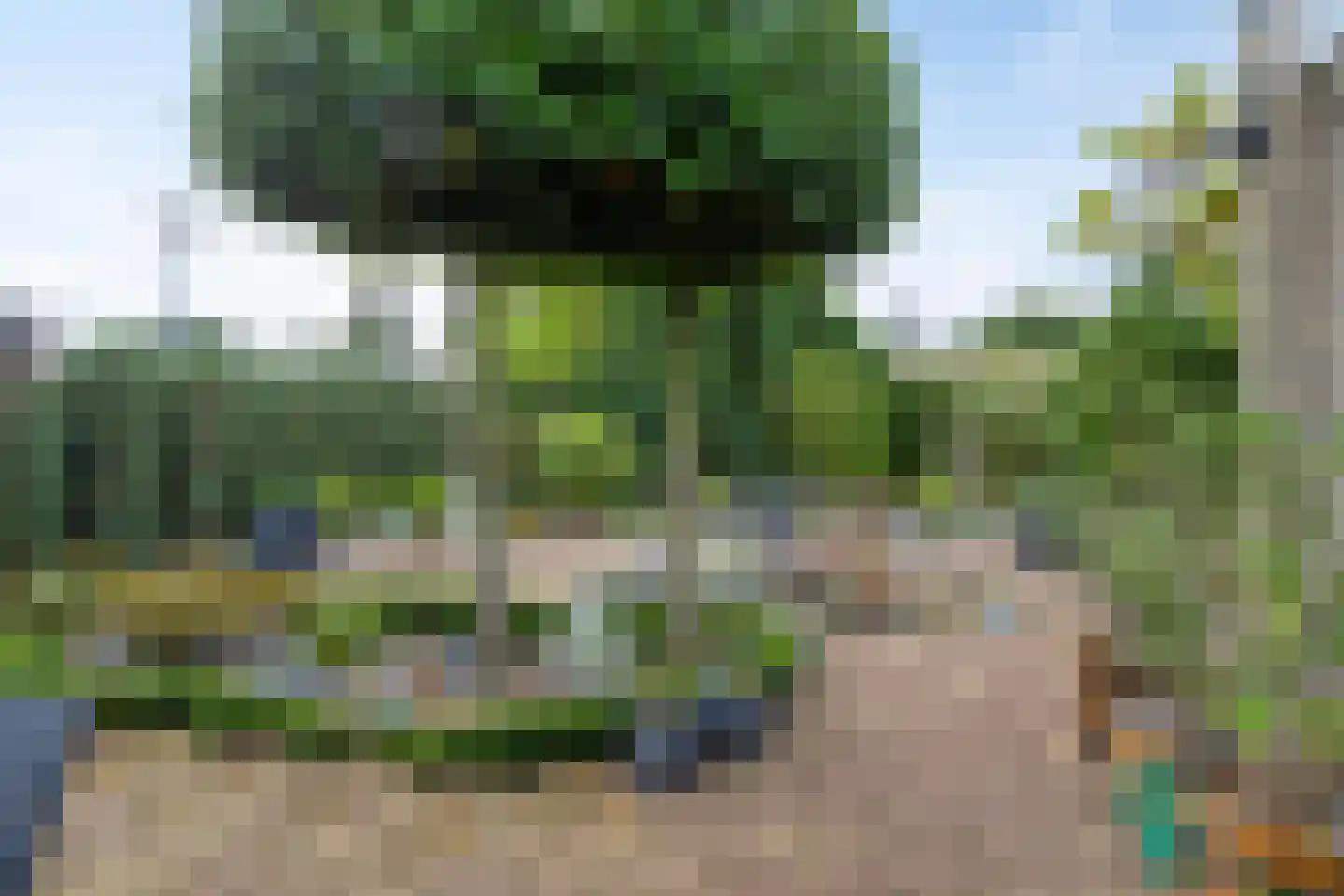 Lienackers 22 Emmen thumbnail 44