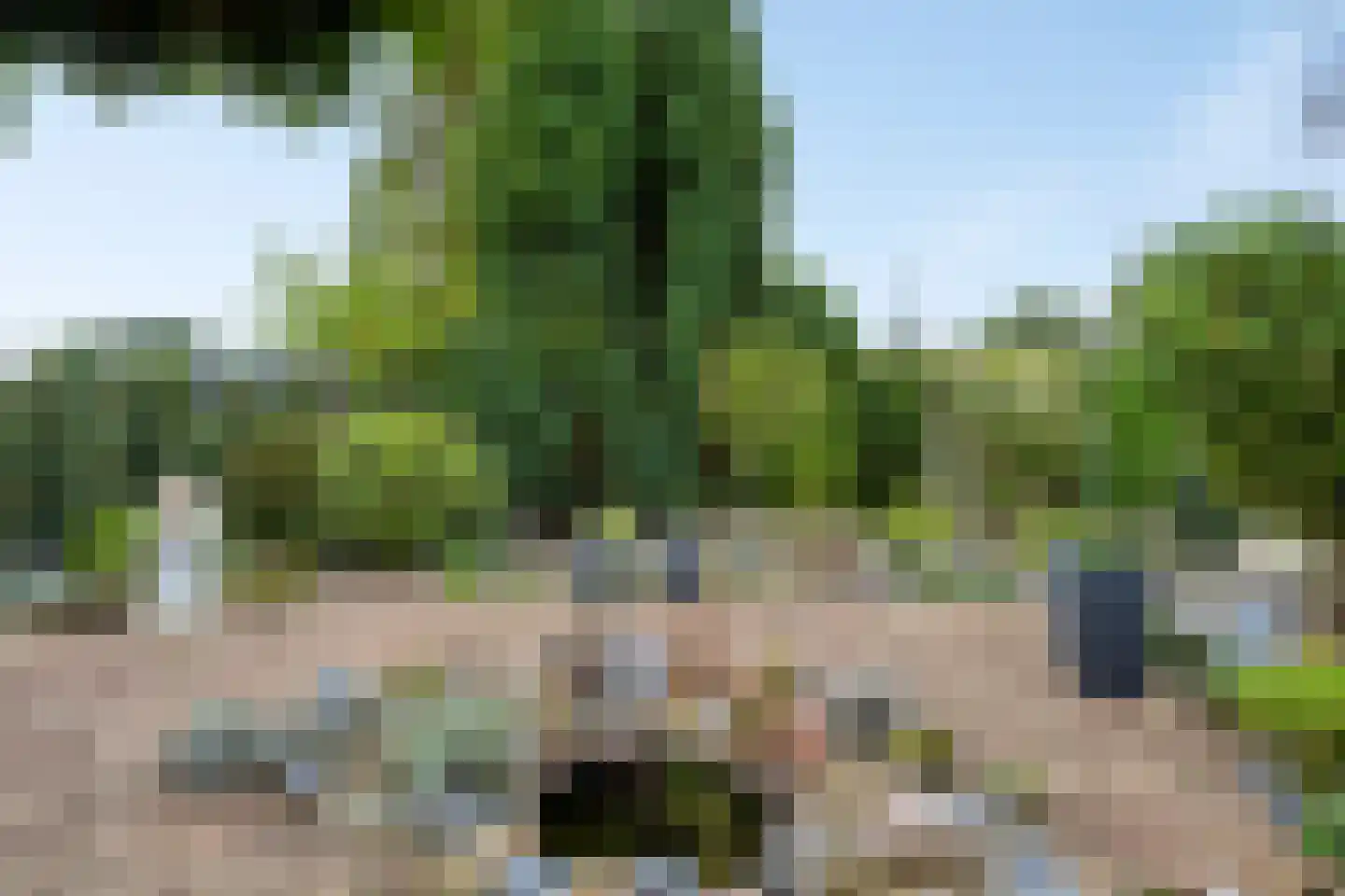 Lienackers 22 Emmen thumbnail 46
