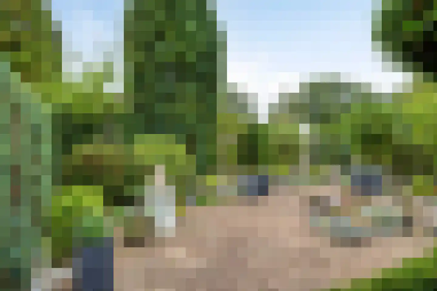 Lienackers 22 Emmen thumbnail 50