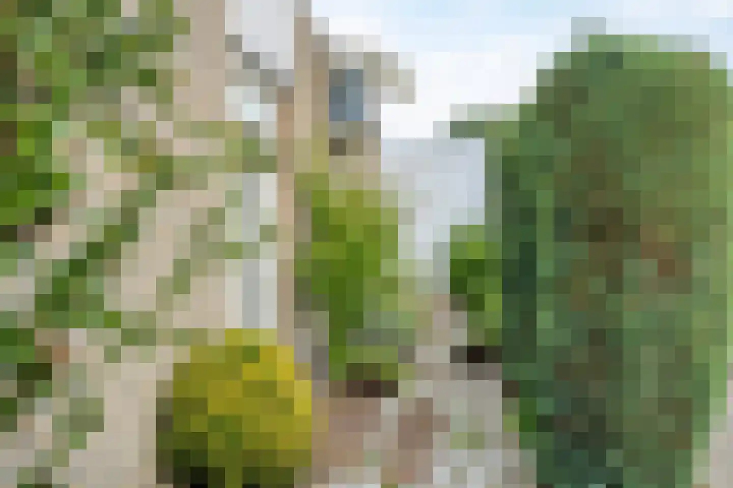 Lienackers 22 Emmen thumbnail 52