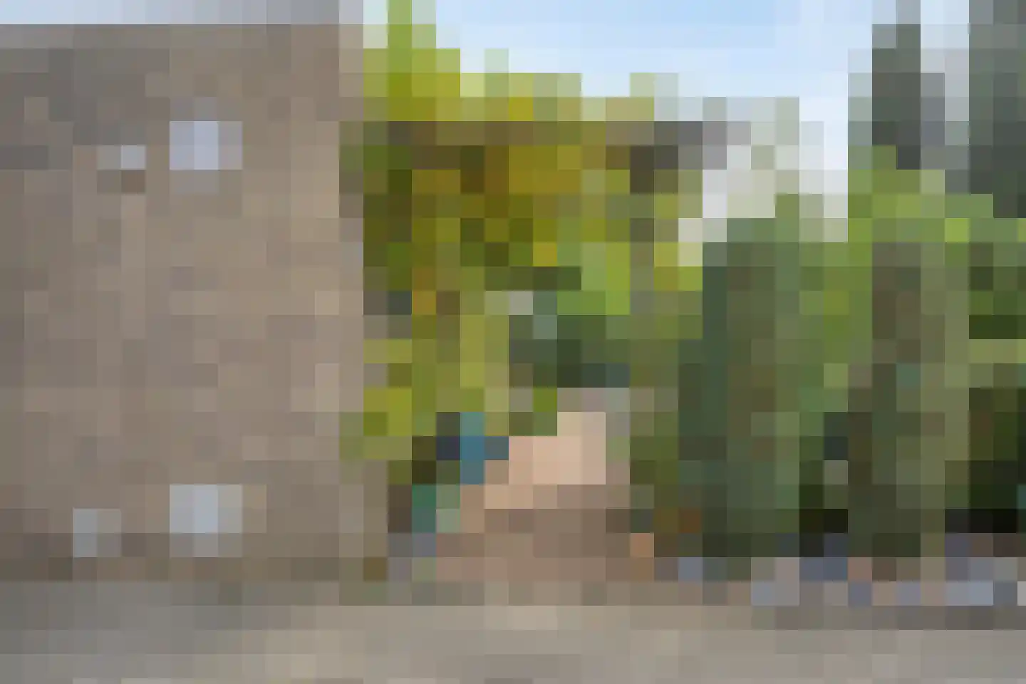 Lienackers 22 Emmen thumbnail 53