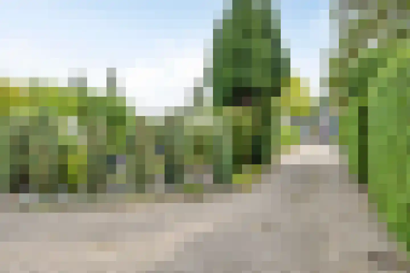 Lienackers 22 Emmen thumbnail 56