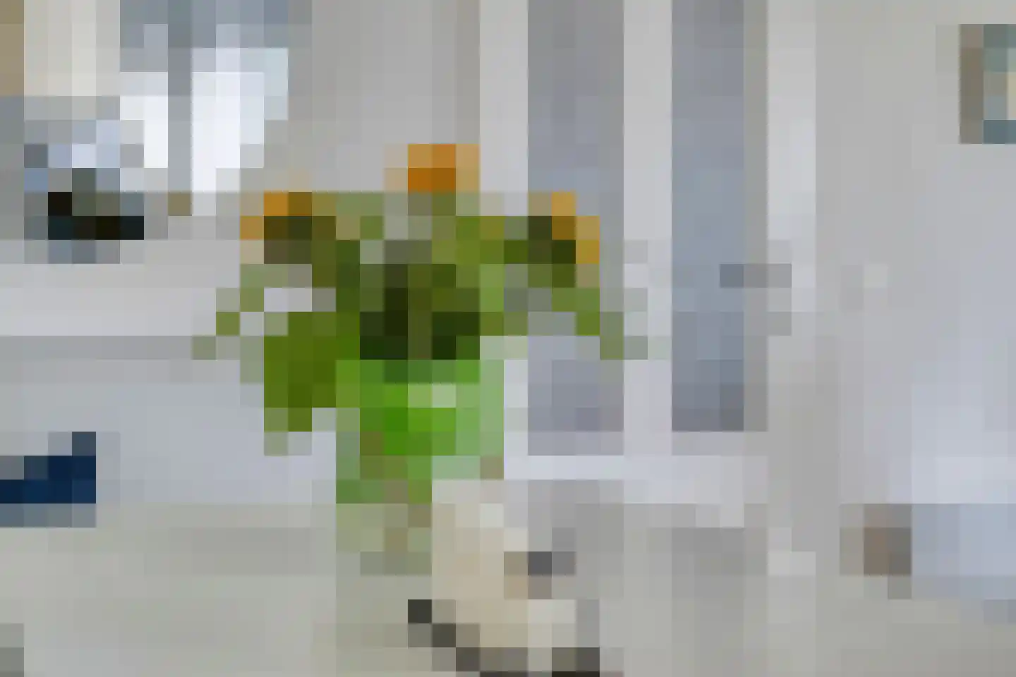 Lienackers 22 Emmen thumbnail 9