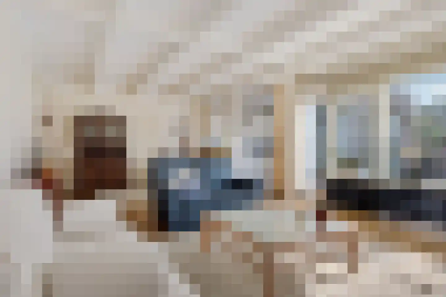 Lienackers 24 Emmen thumbnail 11