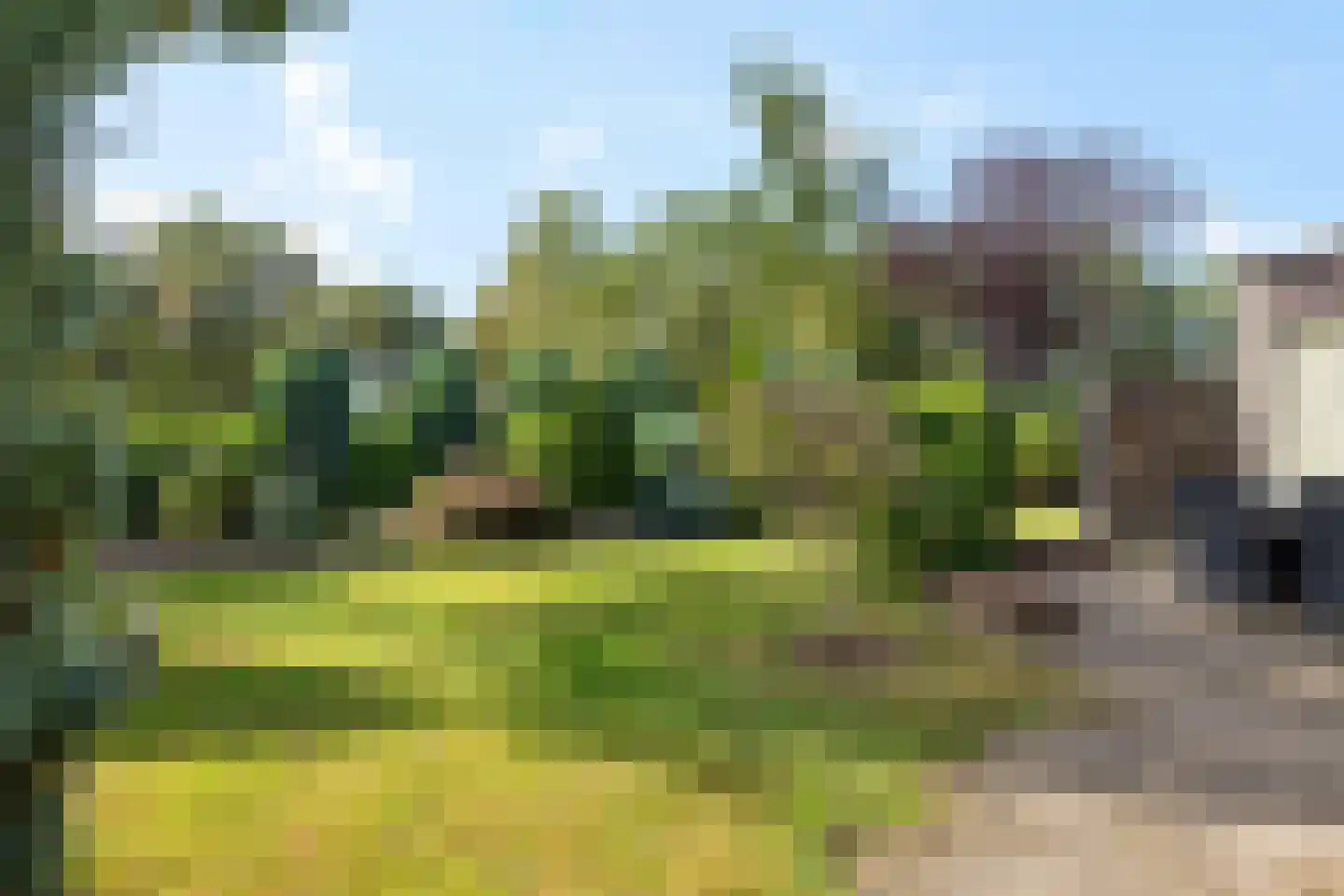 Lienackers 24 Emmen thumbnail 31