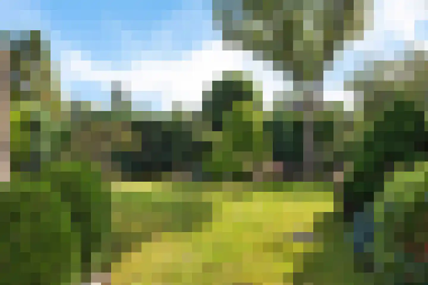 Lienackers 24 Emmen thumbnail 33