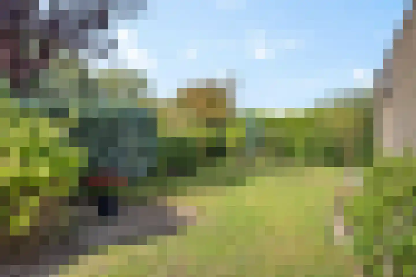 Lienackers 24 Emmen thumbnail 34