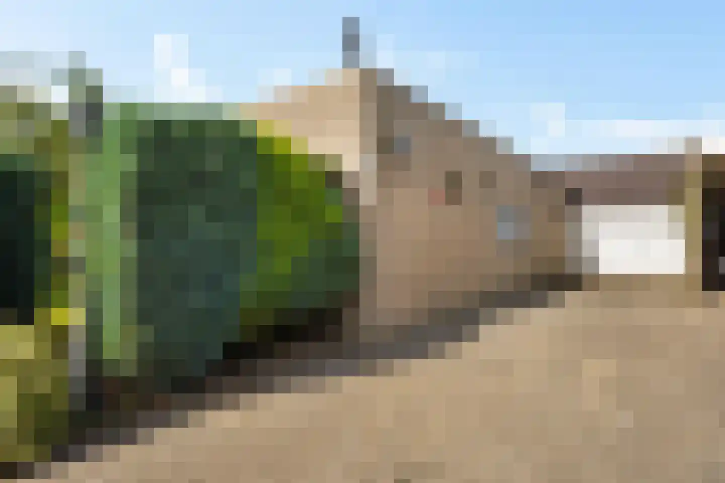 Lienackers 24 Emmen thumbnail 36