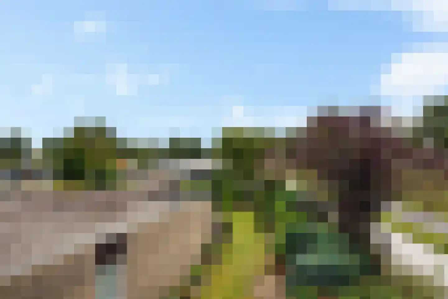 Lienackers 24 Emmen thumbnail 42