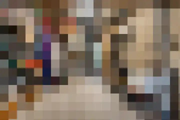 Lienackers 46 Emmen thumbnail 34