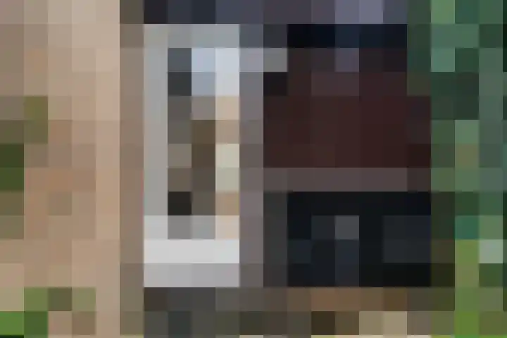 Lienackers 46 Emmen thumbnail 36