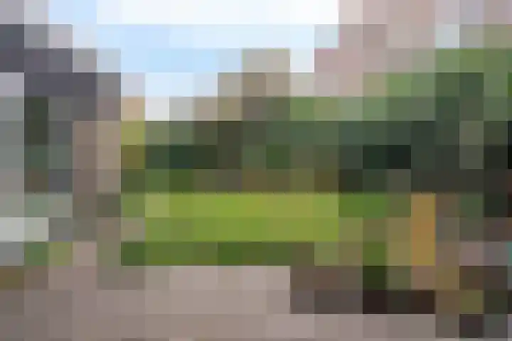 Lienackers 46 Emmen thumbnail 37