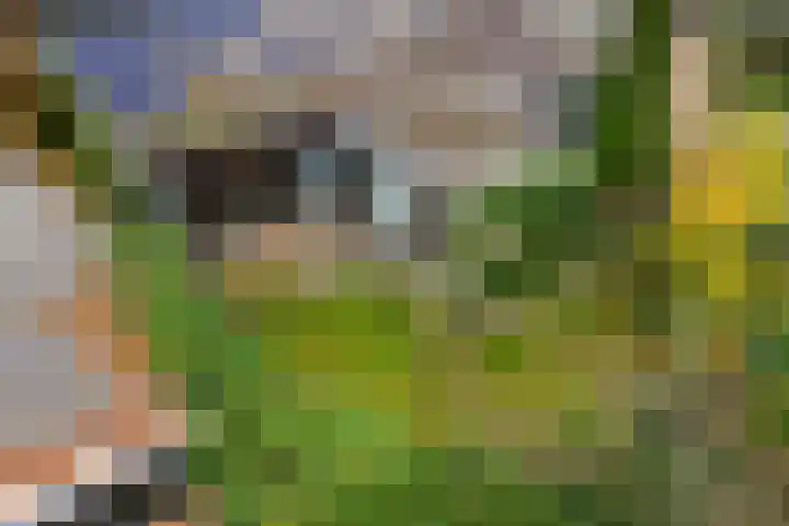 Lienackers 46 Emmen thumbnail 39