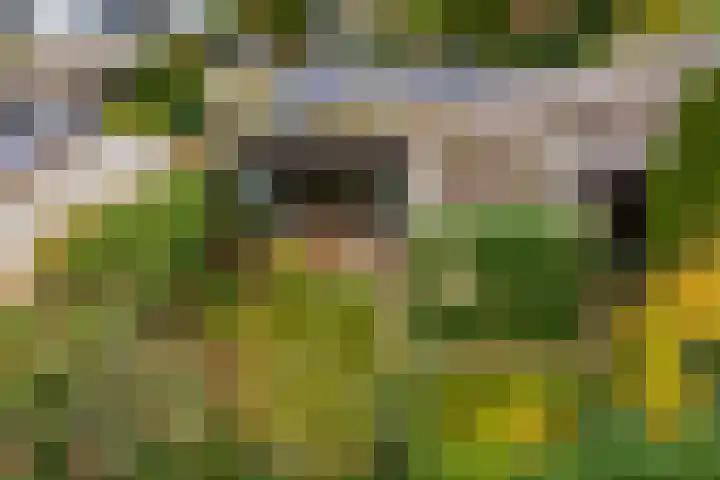Lienackers 46 Emmen thumbnail 41