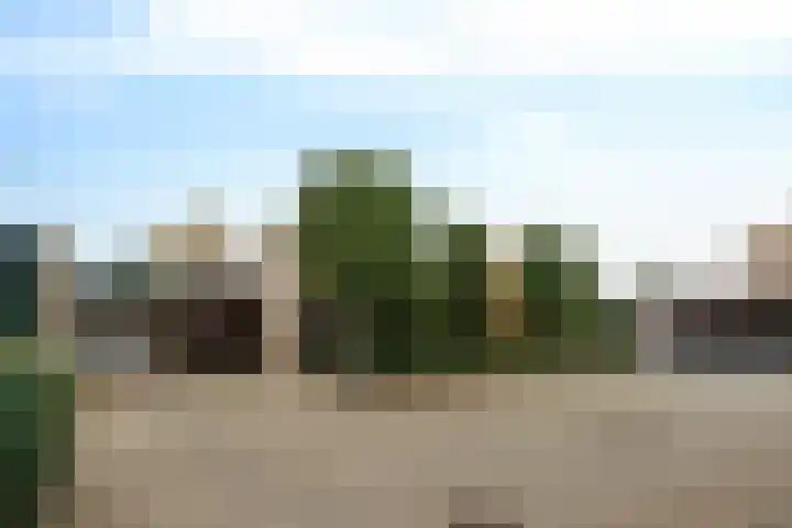 Lienackers 46 Emmen thumbnail 43