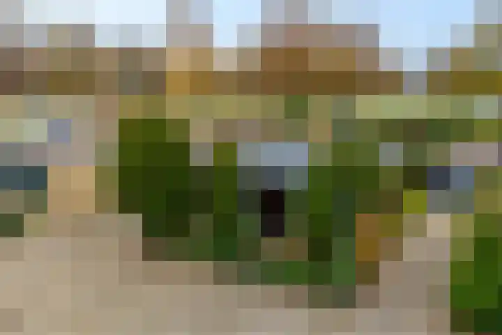 Lienackers 46 Emmen thumbnail 44