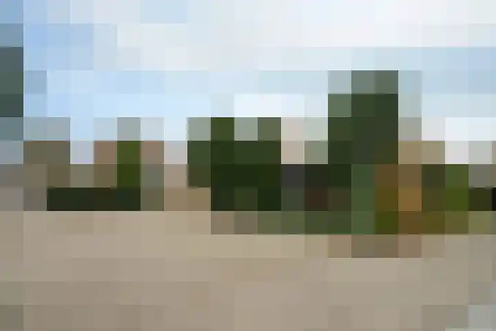 Lienackers 46 Emmen thumbnail 45