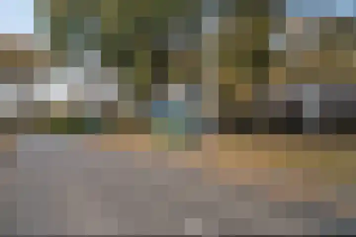 Lienackers 46 Emmen thumbnail 46