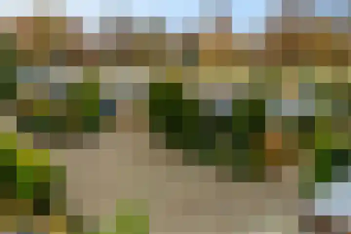 Lienackers 46 Emmen thumbnail 47