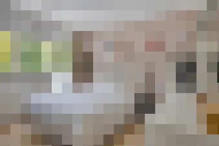 Lienaertsstraat 114 Geleen thumbnail 4
