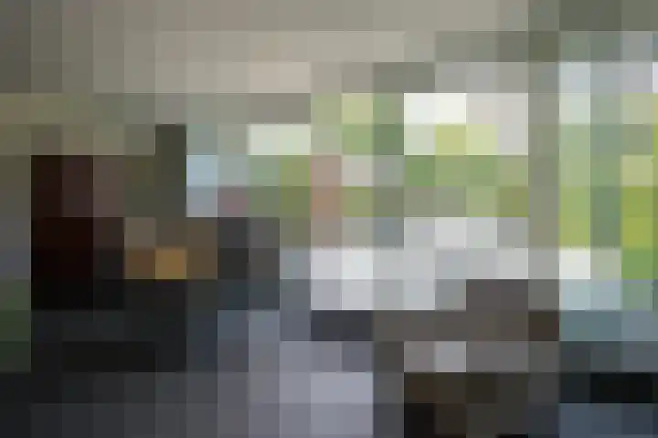 Lienaertsstraat 162 Geleen thumbnail 11
