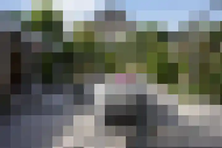 Lienaertsstraat 162 Geleen thumbnail 21