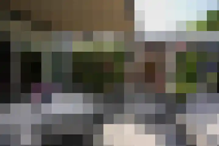 Lienaertsstraat 162 Geleen thumbnail 25