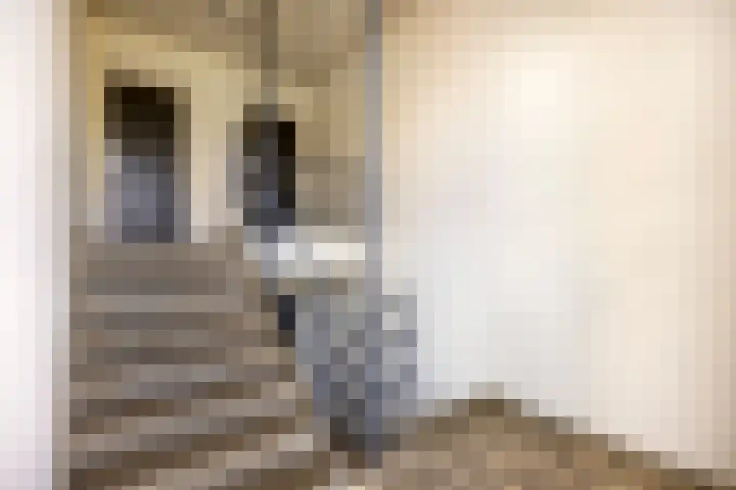 Lienaertsstraat 70 Geleen thumbnail 33