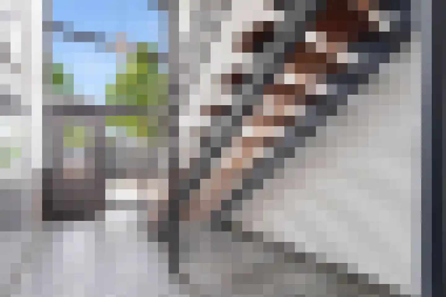 Lienaertsstraat 72 Geleen thumbnail 20