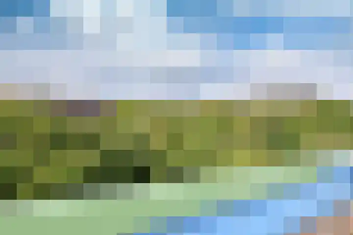 Liendenhof 111 Amsterdam thumbnail 10