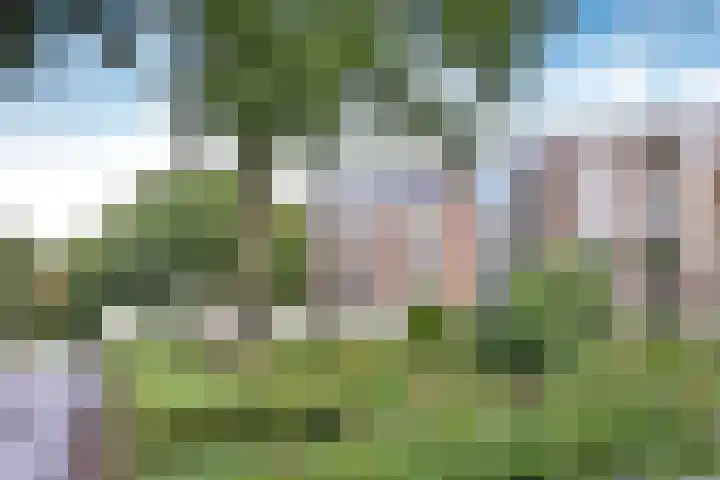 Liendenhof 111 Amsterdam thumbnail 15