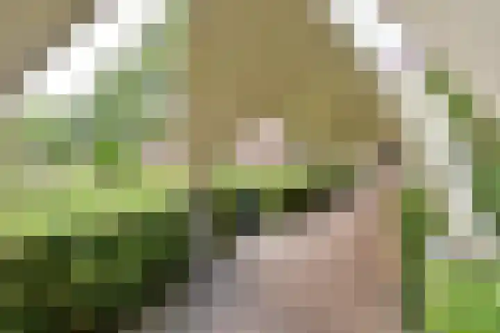 Liendenhof 111 Amsterdam thumbnail 16