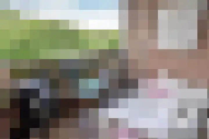Liendenhof 111 Amsterdam thumbnail 7