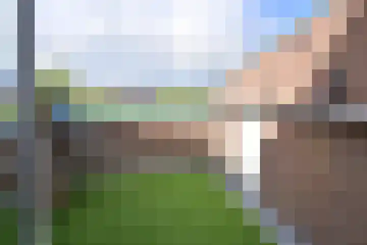 Liendenhof 111 Amsterdam thumbnail 9