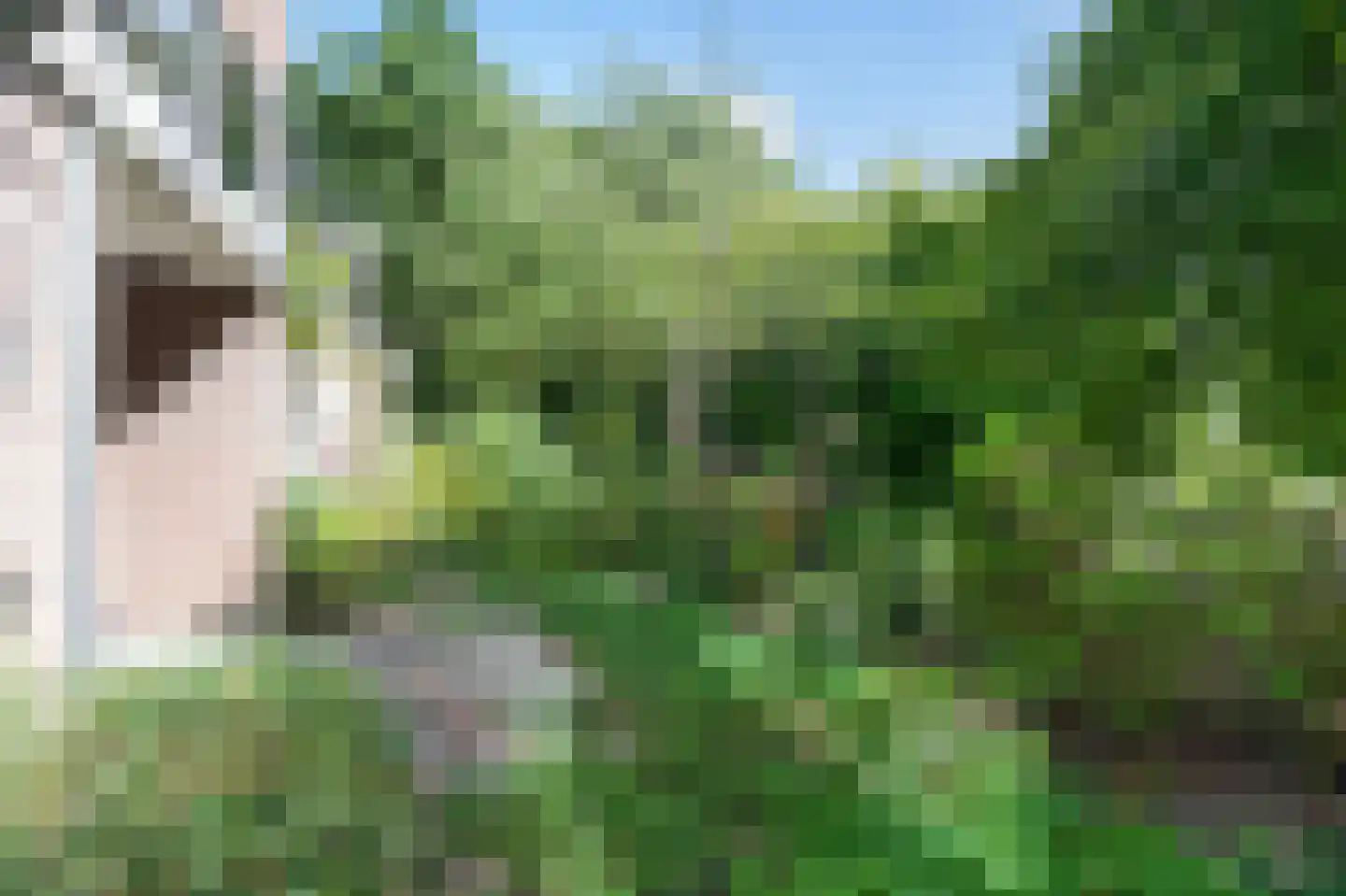 Liendenhof 116 Amsterdam thumbnail 4