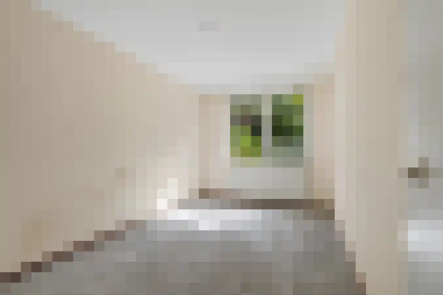 Liendenhof 116 Amsterdam thumbnail 9