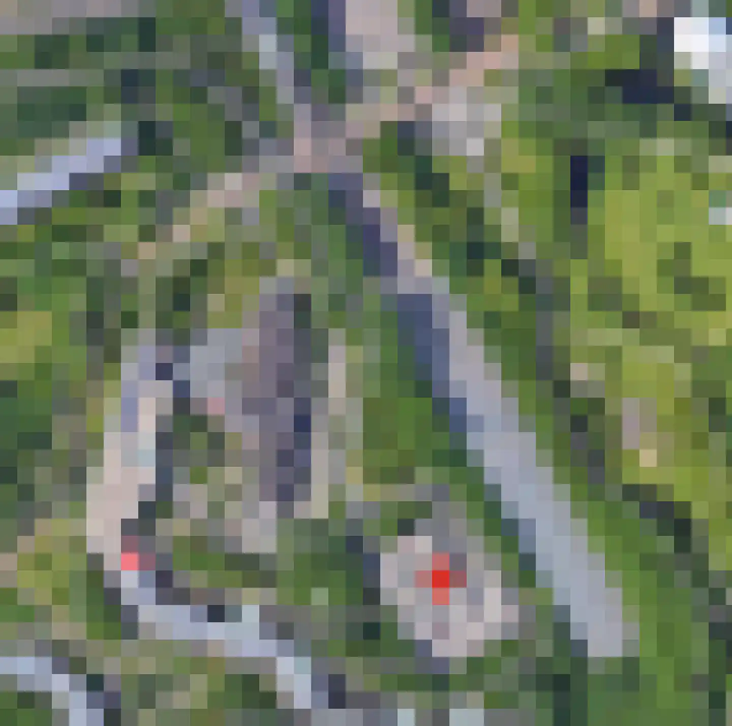 Liendenhof 135 Amsterdam thumbnail 19